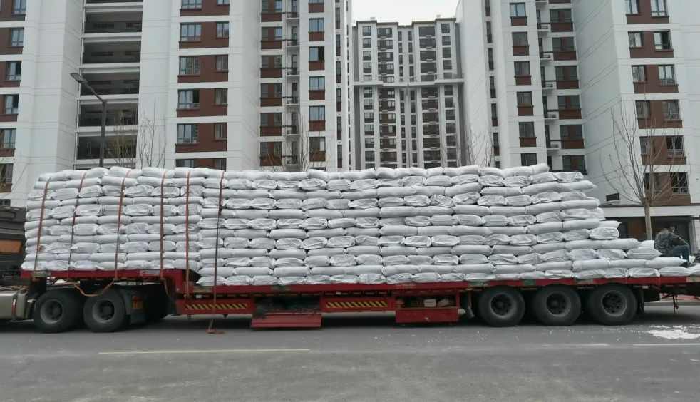 麻豆APP在线观看